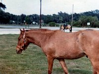 196904ph06  1969 Gemini